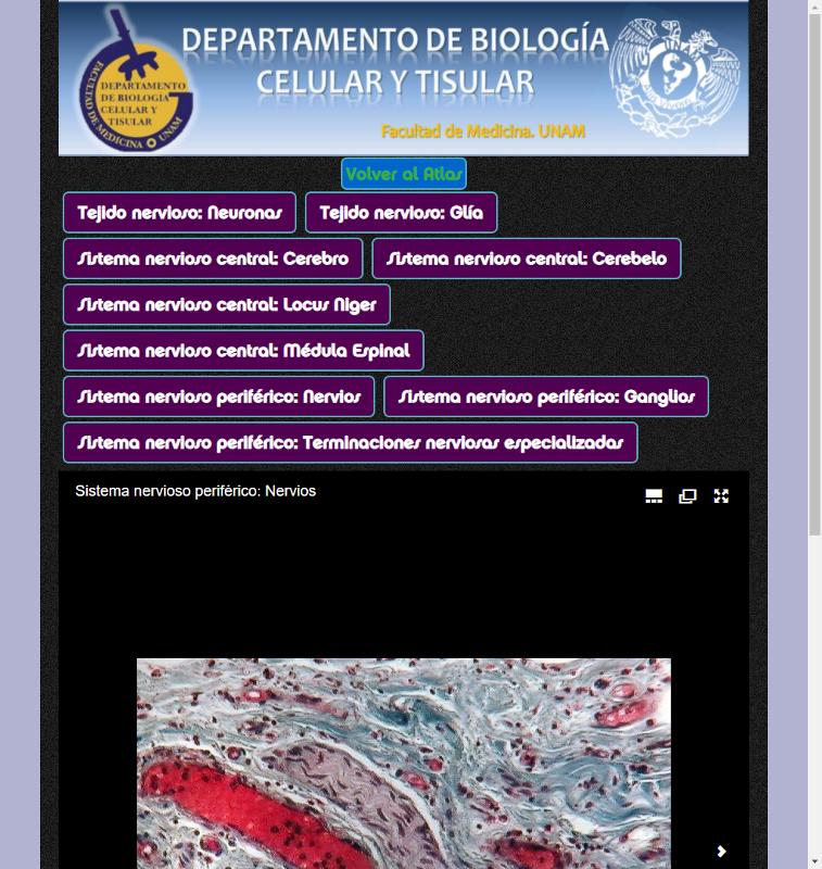 Portada_5287.png.jpg