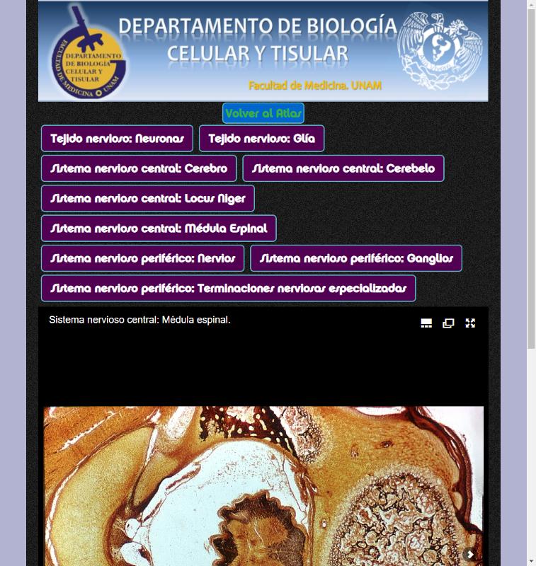 Portada_5286.png.jpg