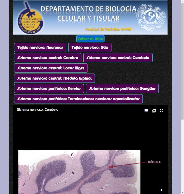 Portada_5284.png.jpg