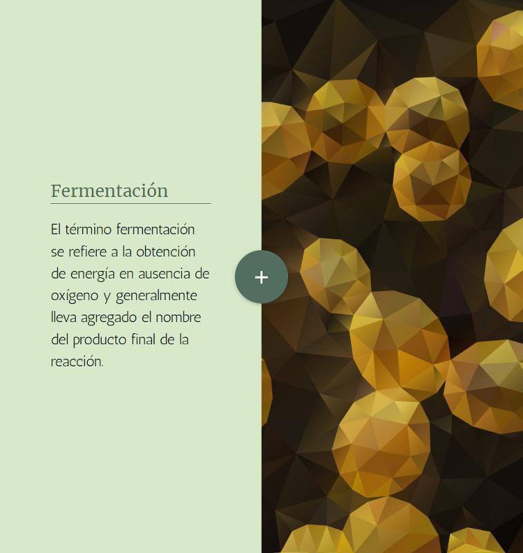 Portada_4540.png.jpg