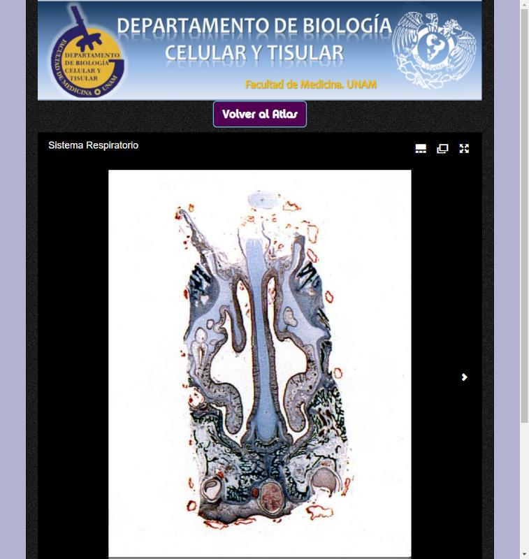 Portada_5294.png.jpg