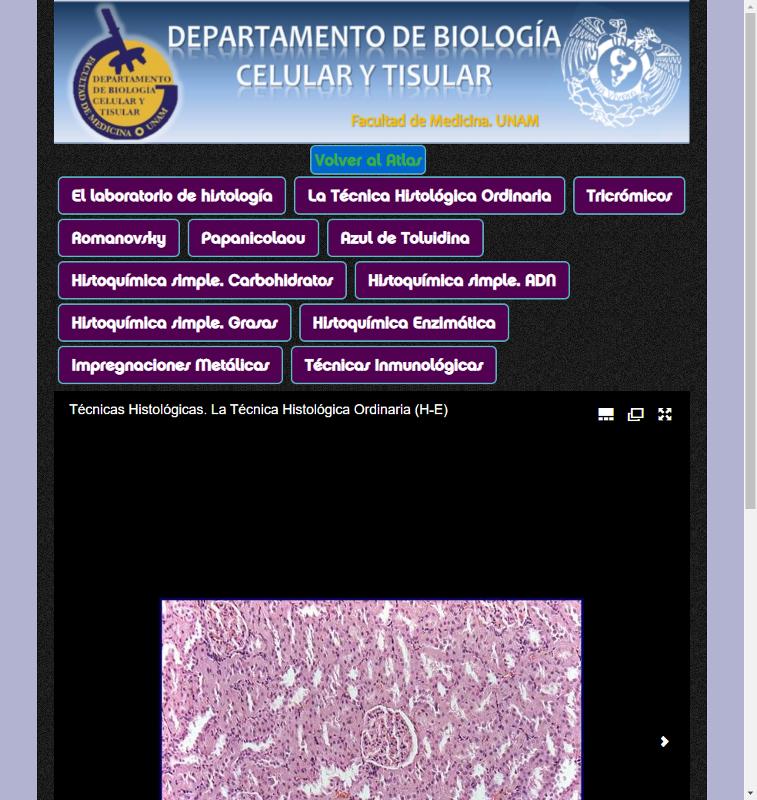 Portada_5290.png.jpg