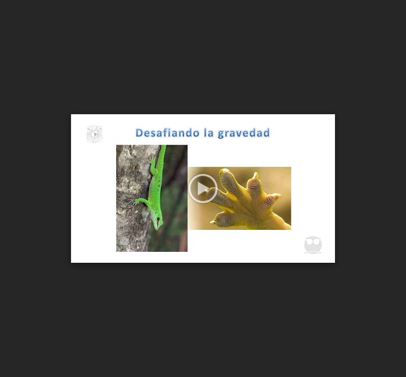 Portada_3227.png.jpg