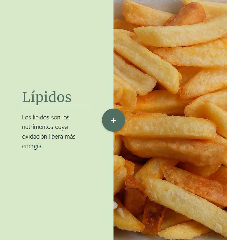 Portada_4552.png.jpg