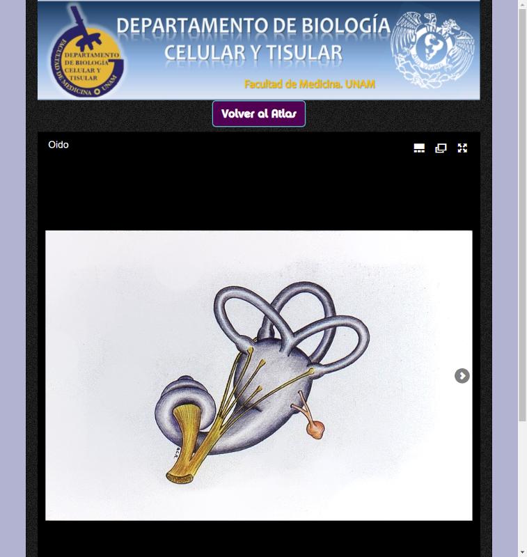 Portada_5291.png.jpg