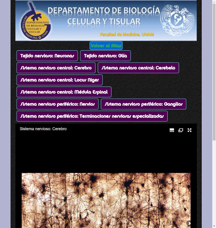 Portada_5283.png.jpg