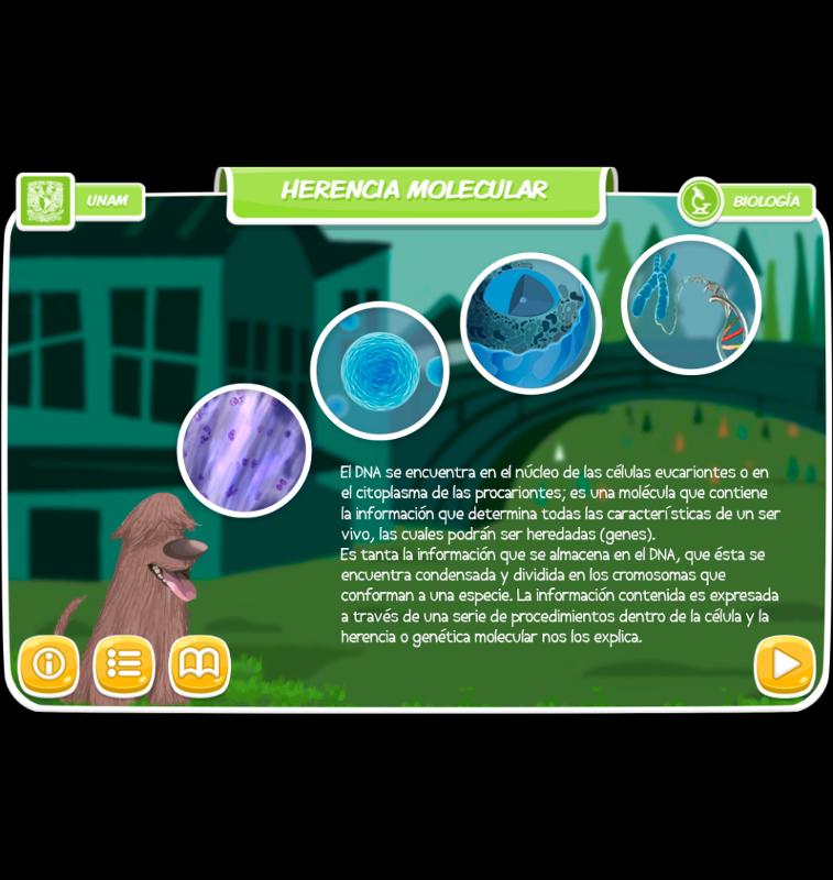 Portada_5306.png.jpg