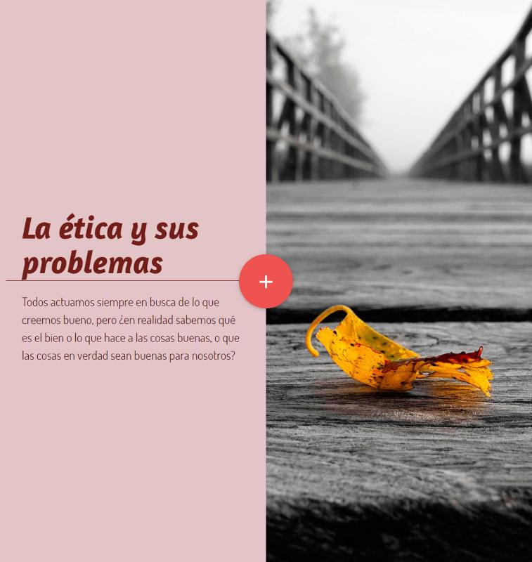 Portada_4232.png.jpg