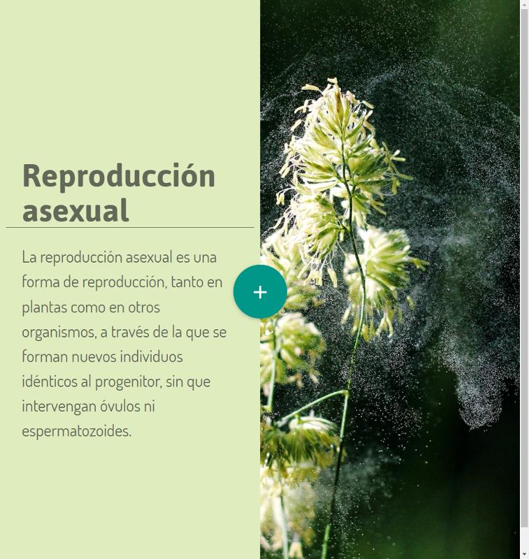 Portada_4167.png.jpg