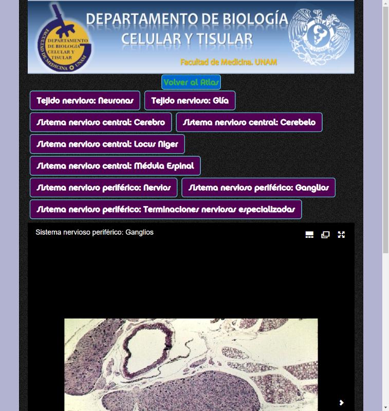 Portada_5288.png.jpg