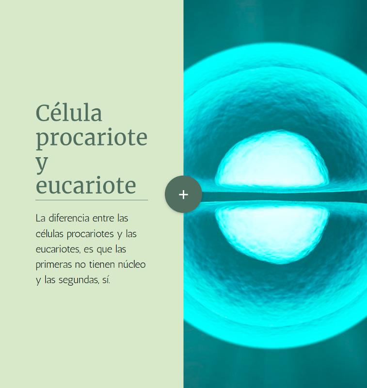 Portada_4499.png.jpg