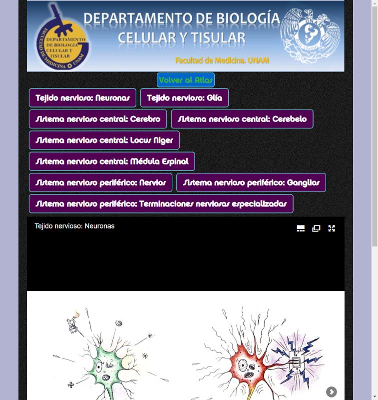 Portada_5281.png.jpg