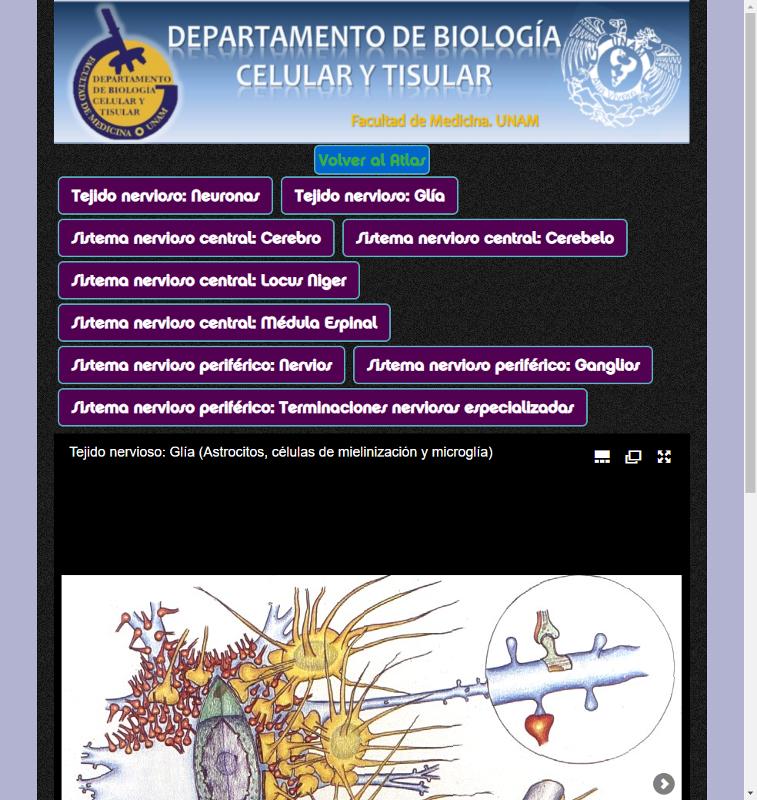 Portada_5282.png.jpg